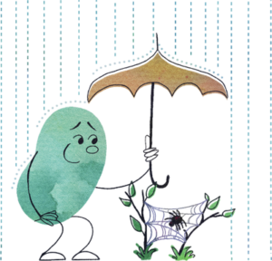 Image of a considerate Beanbean holding their umbrella for a spider in the rain - representing the Paladin (ISFJ) character class.